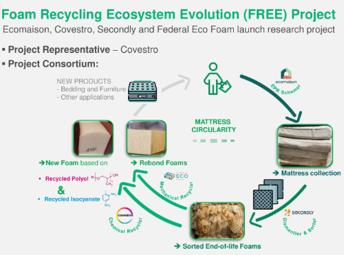 Foam Recycling Ecosystem Evolution (FREE) 