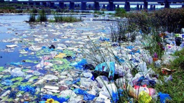 inquinamento plastiche